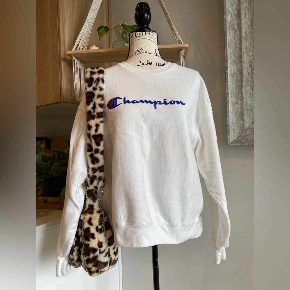Champion Sweater